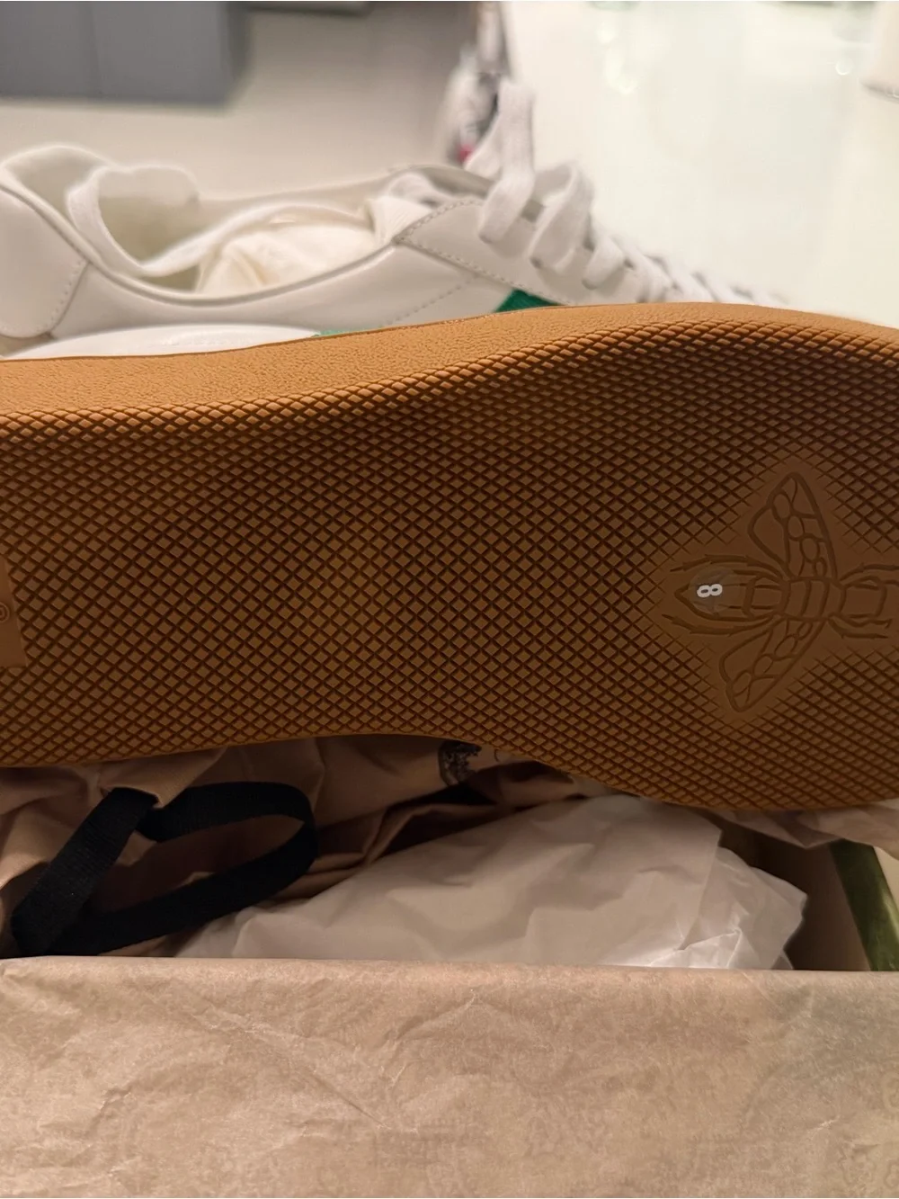 Gucci Embossed Green and Beige Shoe Box